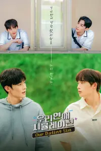 Смотреть  Симуляция нашей любви  