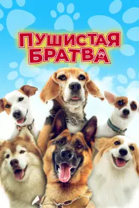  Пушистая братва  смотреть онлайн в хорошем качестве